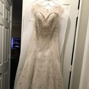Casablanca wedding dress